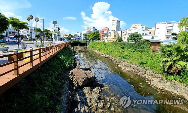 제주 원도심을 흐르는 산지천 [연합뉴스 자료사진]