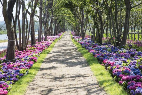 ‘찾아가고 싶은 여름×섬’에 선정된 전남 신안군 도초도.[사진제공=한국섬진흥원]