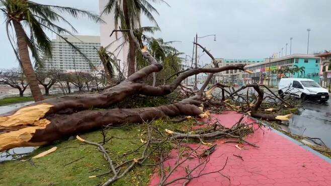 4등급 '슈퍼 태풍' 마와르가 태평양의 미국령 괌을 강타한 지난달 25일(현지시각) 나무들이 강풍에 꺾여 거리에 쓰러져 있다./AFP 연합뉴스