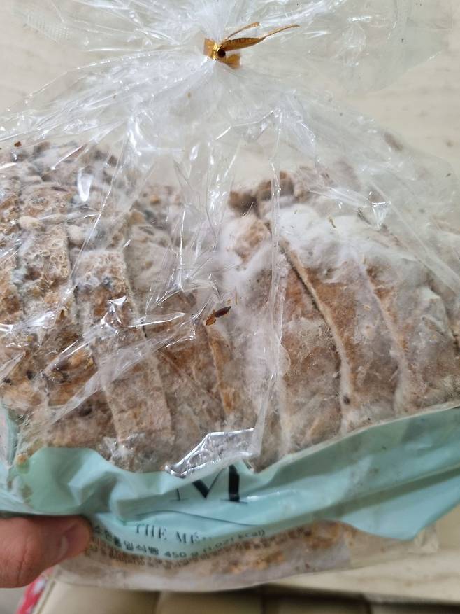 경기 용인 수지구에 사는 A씨가 지난 2일 SSG닷컴에서 주문한 물건들과 함께 받은 식빵. /독자 제공