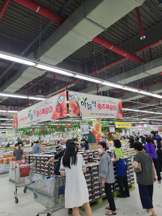 지난해 수도권 마트에서 열린 하늘작 복숭아 대규모 판촉행사. 사진=충주시 제공