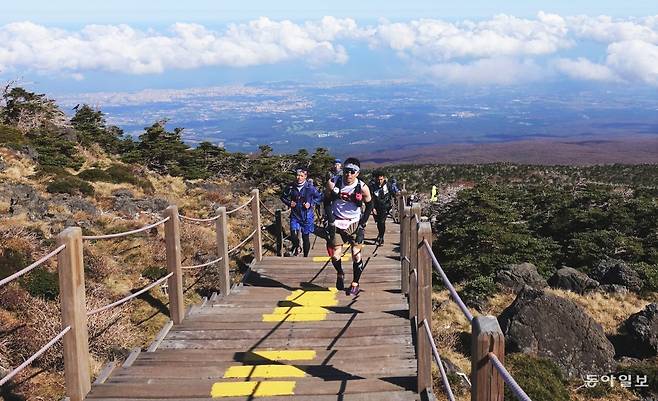 제주지역에서 열린 트레일러닝 대회 참가 선수들이  한라산 정상을 오르고 있다. 임재영 기자  jy788@donga.com
