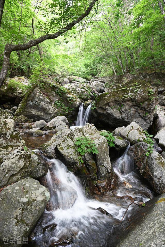 비수구미 계곡에는 크고 작은 폭포가 끊임없이 이어진다.