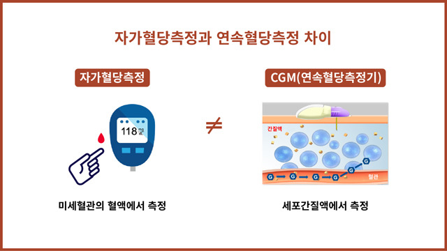 사진=헬스조선 유튜브 캡처