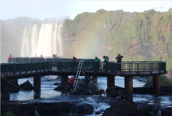 5일 세계환경의 날을 맞아 브라질 국립공원 직원과 자원봉사자가 이구아수 폭포 인도교 인근 바닥에서 관광객들이 던진 동전을 수거했다. 