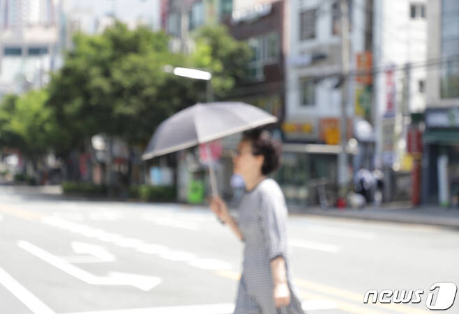 울산대학교사거리에서 시민이 뜨거운 햇빛을 피해 양산을 쓰고 횡단보도를 지나고 있다./뉴스1 ⓒ News1 김지혜 기자