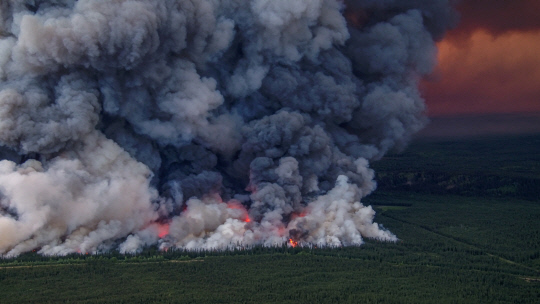 캐나다 브리티시컬럼비아주의 한 산불 현장. [로이터 연합뉴스]