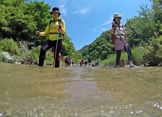 홍천 수타사계곡은 물길 트레킹에 좋은 계곡이다. 시원한 계곡을 걷다 보면 더울 틈이 없다. 스틱으로 중심을 잡고 등산화를 신을 채 물길을 걷는다.