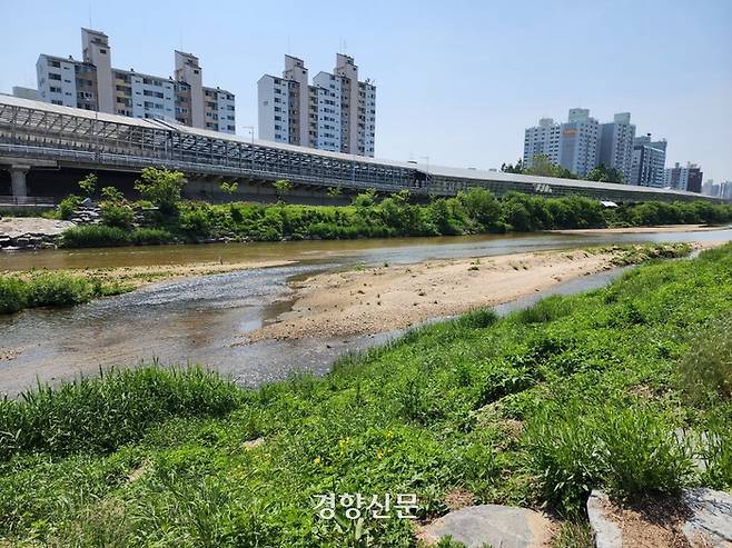 지난달 11일 서울 중랑천 상류 구간에 남아있는 모래톱의 모습. 김기범기자.