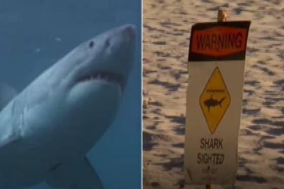 기사와 관련 없는 자료사진. 〈사진=JTBC 방송화면 캡처〉