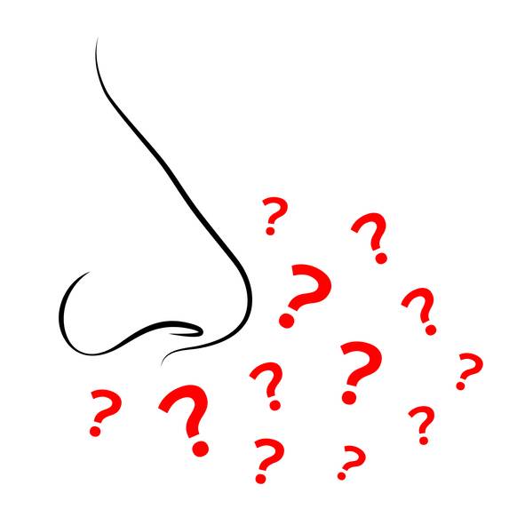 2021년 알파와 델타 변이의 코로나19 감염으로 인한 후각 상실 위험이 팬데믹 초기에 관찰된 것의 74%와 64%에 불과하다는 것을 발견했다. [사진= 게티이미지뱅크]