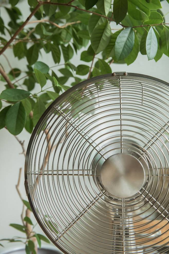 지난 2일 서울시 성동구 이현진씨 집에서 촬영한 선풍기. 15년 된 이 선풍기는 올여름에도 계속 돌아갈 예정이다. 스튜디오 어댑터 염서정