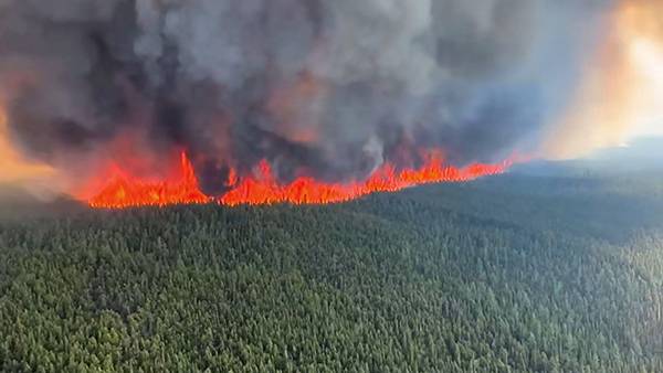 캐나다 산불 [사진 제공 : 연합뉴스]