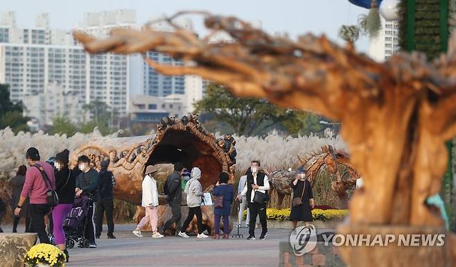 지난 2021년 11월 2일 울산시 중구 태화강 국가정원에서 열린 '2021 대한민국 정원산업박람회'에서 시민들이 5천년 수령 녹나무로 제작된 전시물을 감상하고 있다. [연합뉴스 자료사진]