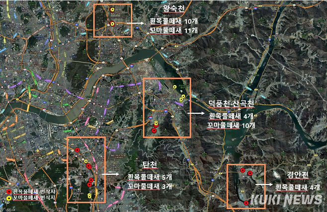 조류교육센터 그린새에서 지난 3월부터 월 말까지 3개월 모니터링한 4개지역 6개하천의 물떼새 분포현황. 조사팀은 6월 말까지 모니터링을 이어갈 계획이다.
