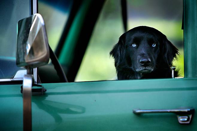 [엣나인필름 제공]