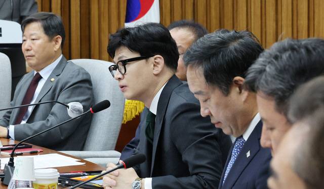 ▲ 한동훈 법무부 장관이 지난달 24일 국회에서 공공질서 확립과 국민권익 보호를 위한 당정협의회에서 발언하고 있다. 사진/연합뉴스