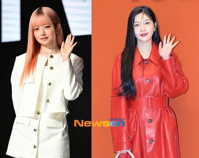 왼쪽부터 아이브 레이, 레드벨벳 조이 (뉴스엔DB)
