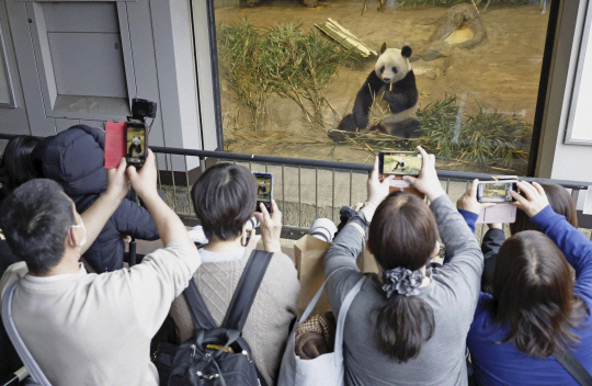 지난 2월 19일 일본 도쿄 우에노공원에서 방문객들이 판다 ‘샹샹’의 사진을 찍고 있다. 올해 6세인 샹샹은 일본에서 태어났지만 전 세계 모든 판다의 소유권을 갖고 있는 중국으로 21일 돌아갔다. 교도·AP·연합뉴스