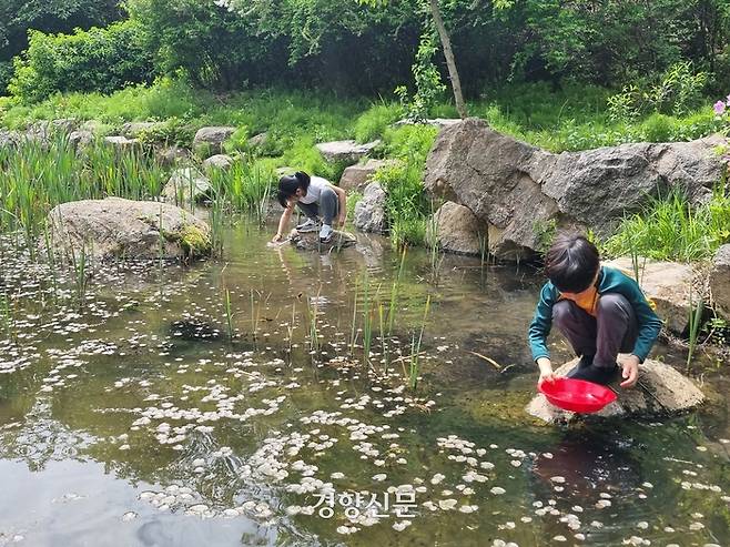 서울 서대문구 백련근린공원에서 지난 4월 23일 아이들이 올챙이를 관찰하는 등 생태체험활동을 하고 있다. 전지현 기자