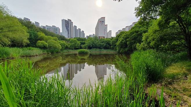 원흥이방죽. 오윤주 기자