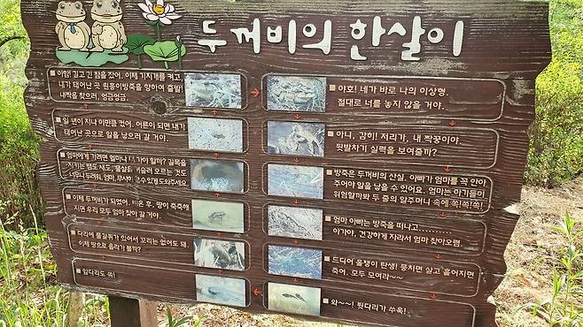 원흥이방죽 두꺼비 안내 표지판. 오윤주 기자