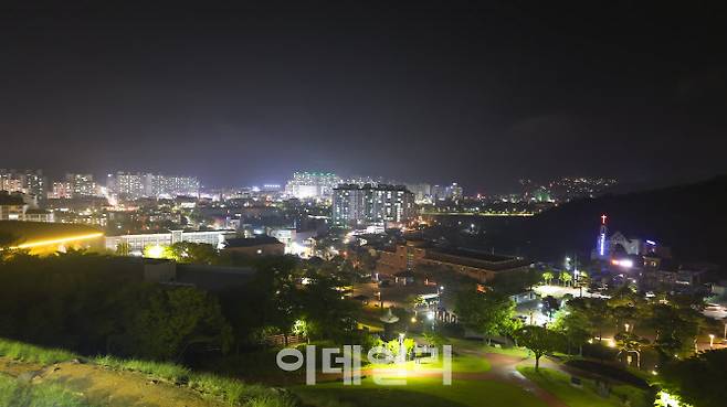 정읍사문화공원에서 본 정읍 시내 야경 (사진=김명상 기자)