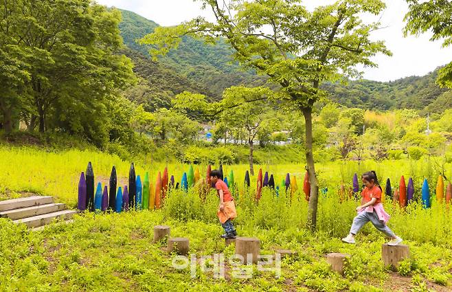 솔티숲의 생태놀이터 (사진=김명상 기자)