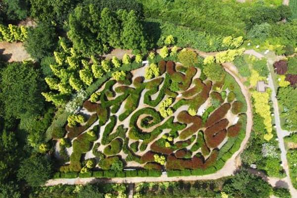 온라인 커뮤니티