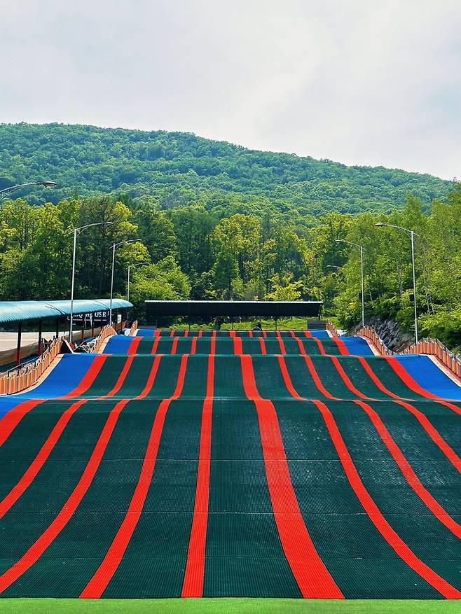 사계절 썰매 /﻿ 사진= 권효정 여행+ 기자