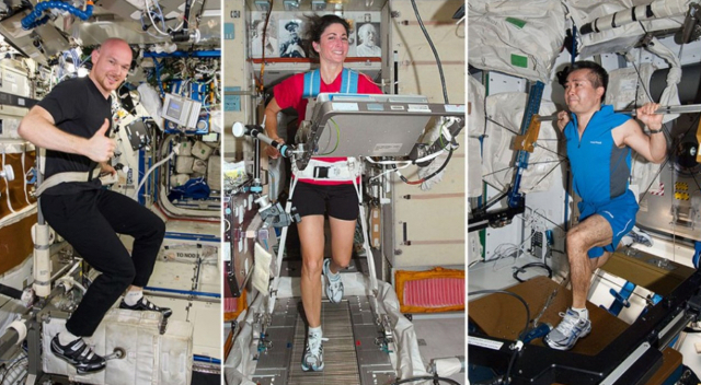 국제우주정거장(ISS)에서 근력 운동을 하고 있는 과학자들. 사진제공=나사