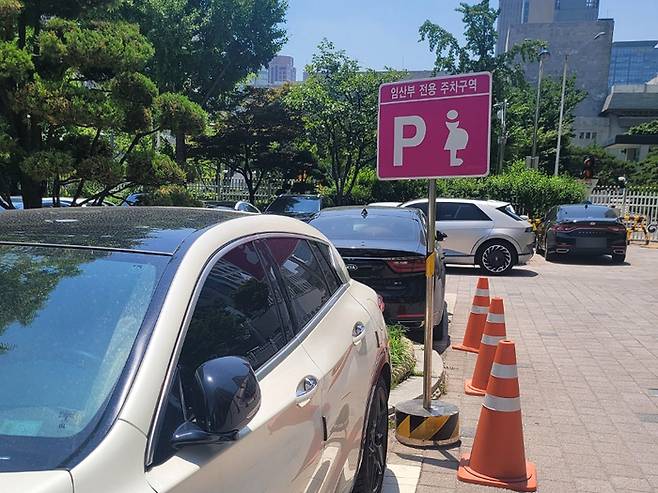 정부서울청사 임산부 전용주차구역(기사와 무관함)  /사진= 강예신 여행+ 기자