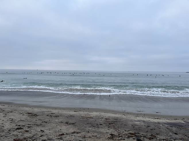 도헤니 주립 해변에서 찍은 사진입니다. 라인업이 보이시나요?