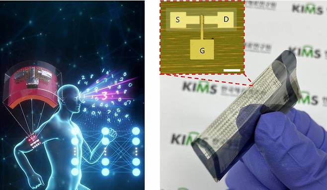 인체 부착이 가능한 웨어러블 엣지 뉴로모픽 반도체 소자 응용 모식도(왼쪽), 고유연 기판에 완성된 고집적 뉴로모픽 시냅스 소자 어레이 사진(오른쪽)[한국재료연구원 제공]