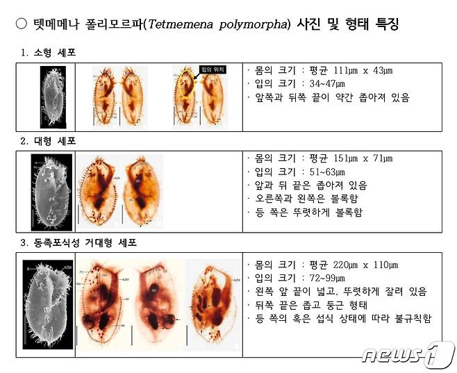 (환경부 제공) ⓒ 뉴스1