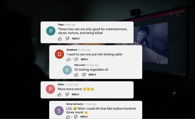 영국 비비시 방송이 유튜브, 텔레그램 등에서 원숭이 학대 영상물을 제작 유포하는 국제적인 네트워크를 폭로했다. 텔레그램 단톡방에 참가한 사람들은 원숭이 학대 방식 등을 투표로 정하고 영상물을 구매했다. <비비시>(BBC) 누리집 갈무리