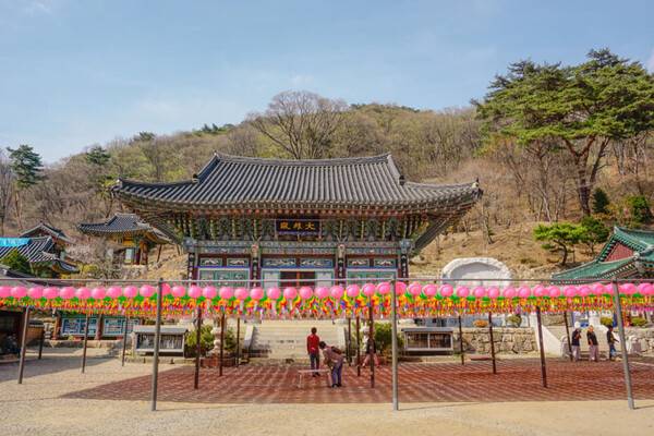 용문사 템플스테이 / 온라인 커뮤니티