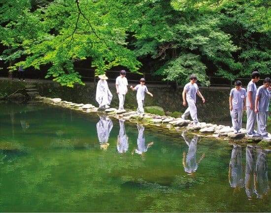 묘적사 템플스테이 / 온라인 커뮤니티