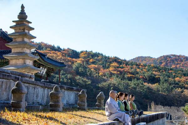 템플스테이 추천 / 온라인 커뮤니티
