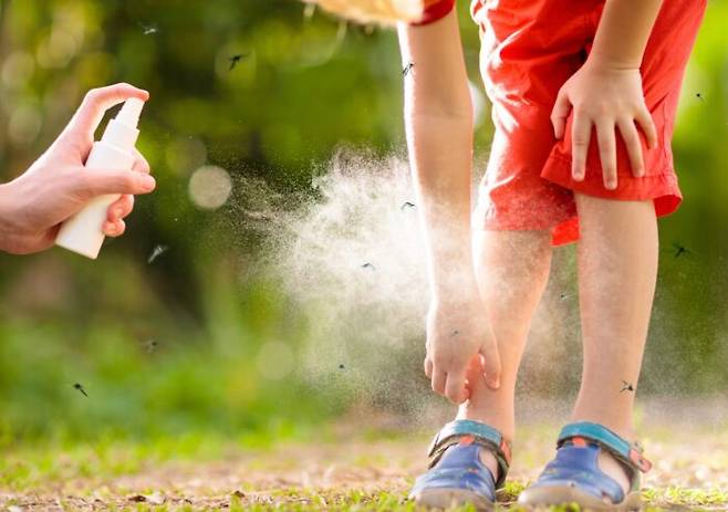 [사진=게티이미지뱅크]