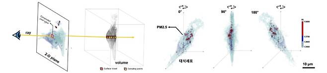 광회절단층촬영으로 초미세먼지와 세포의 3차원 시각화 성공. (생명연 제공)/뉴스1