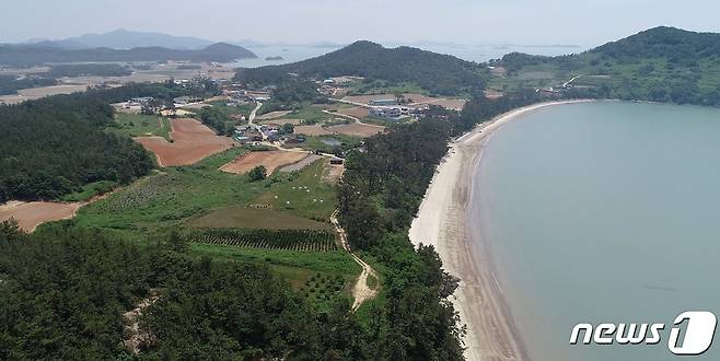 전남 신안군은 자은면 분계해변의 '여인송' 숲을 보호하기 위해서 도시계획시설 '공공공지'를 신설(결정)했다고 22일 밝혔다. (신안군 제공)/뉴스1