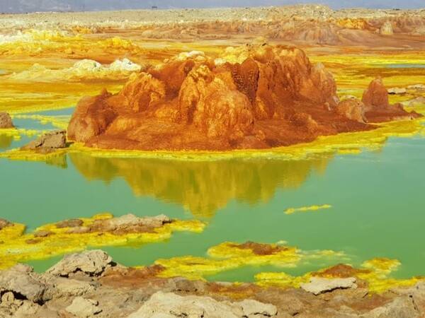 온라인 커뮤니티