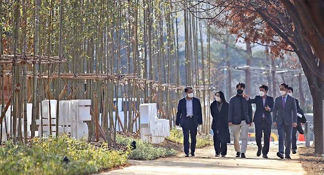 지난해 산림청이 모범도시숲으로 선정한 경기 평택시 통복천 도시바람길숲. 도시 외곽의 산림에서 생성된 맑고 찬 공기를 도심으로 끌어들이는 역할을 한다. 산림청 제공