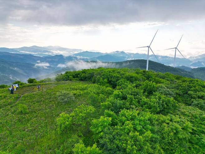 검룡소에서 대덕산에 이르는 능선은 우리나라 최고의 야생화 군락지다. 사진은 드론으로 촬영한 대덕상 정상.