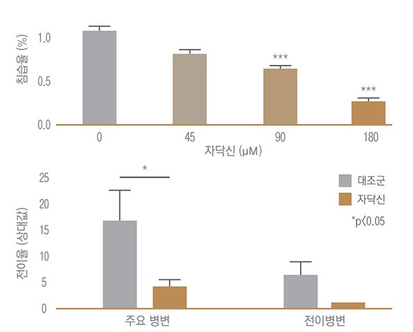 비소세포 폐암의 세포·동물실험에서 면역항암제와 자닥신을 병용 투여하자 암의 침습과 전이가 억제됐다. /사진=파마리서치