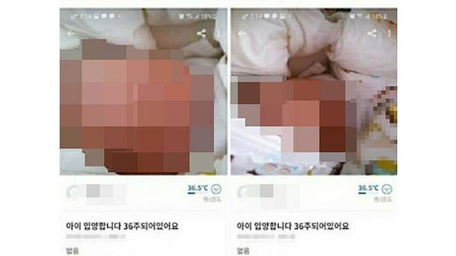 '36주 아이 20만 원' 게시글 (사진=독자 제공, 연합뉴스)