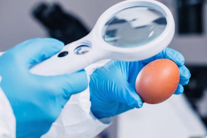 [사진=클립아트코리아]