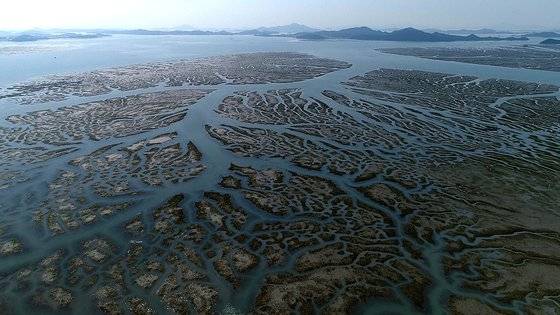생태 다큐멘터리를 만들어온 황윤 감독이 새만금의 마지막 남은 갯벌 '수라'를 7년간 기록한 영화 '수라'가 개봉 당일 1만 관객을 돌파했다. 미처 몰랐던 갯벌의 아름다움을 일깨우는 화면과 함께 끝나지 않는 새만금 갯벌 개벌의 이유를 다시 생각하게 만드는 작품이다. 사진 스튜디오 두마