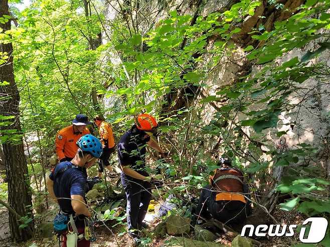 구조활동.(강원도소방본부 제공)/뉴스1